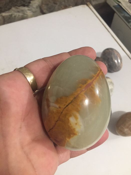 11 бр.колекция яйца от камьк