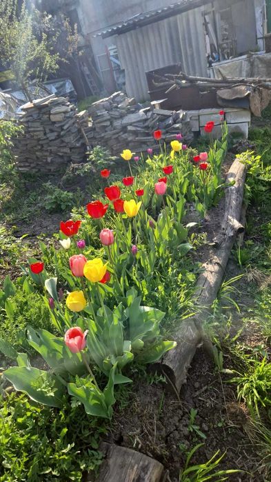 Отдельно стоящий дом