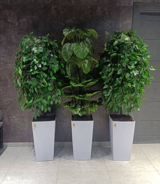 Декоративные гул Живой гуллар