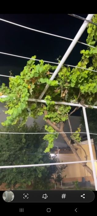 Учтепа изза махалла 6 сотх участка сотилади