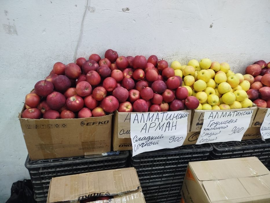 Алматинские яблоки высший сорт по доступной цене
