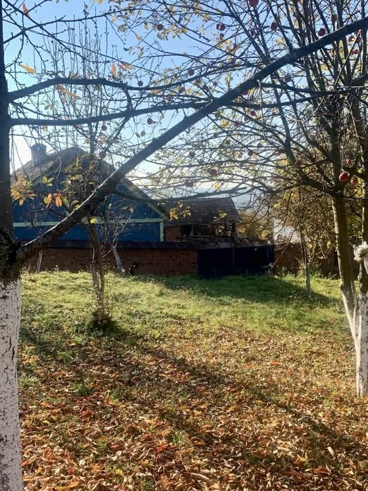 Proprietate 4 hectare în sat Barbura, județ Hunedoara