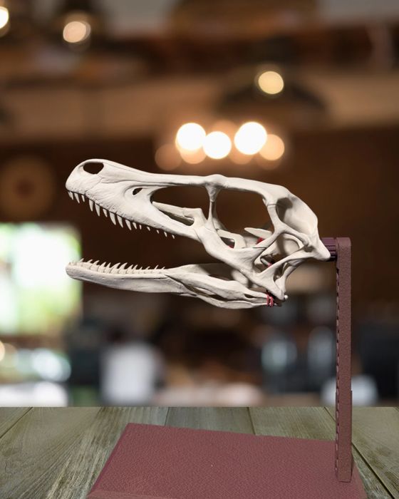 Череп динозавра велоцераптора