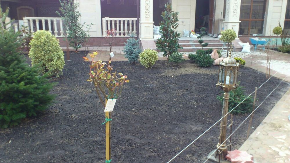 Газоны руллоний оптом смена Дания поливной системи