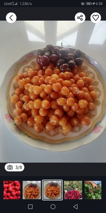 Малина черешня Шпанка