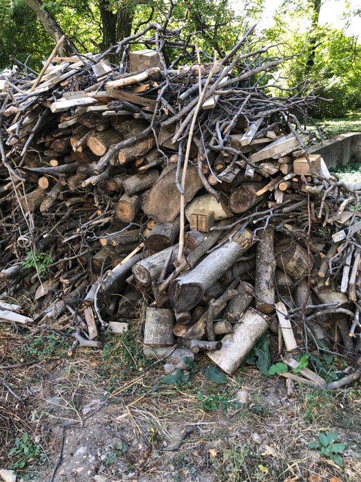 Продавам-подарявам Дърва за огрев и разрешително за превозване