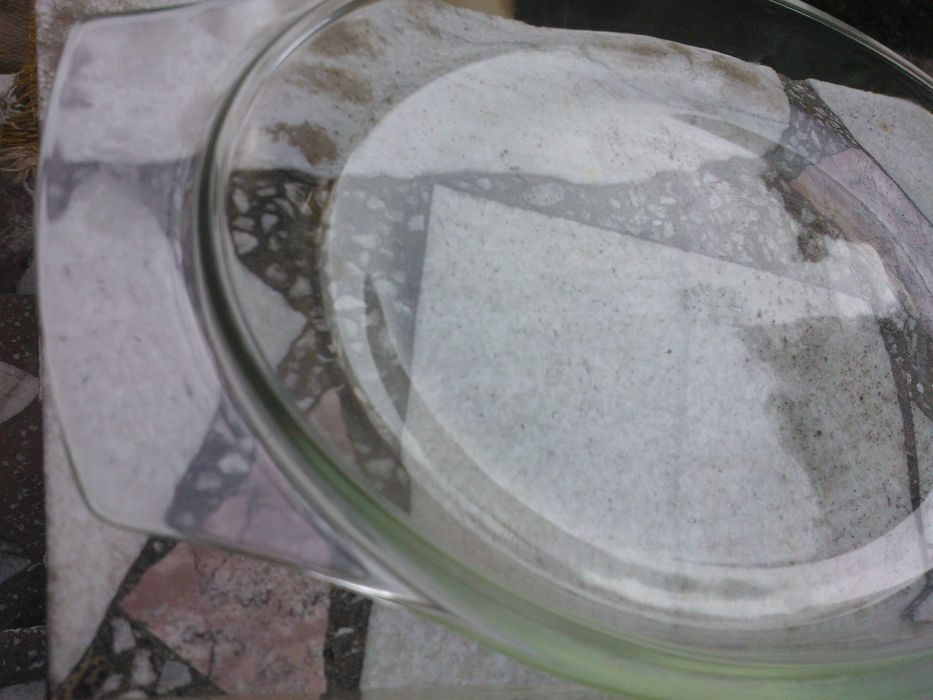 Vase pt copii din Jena