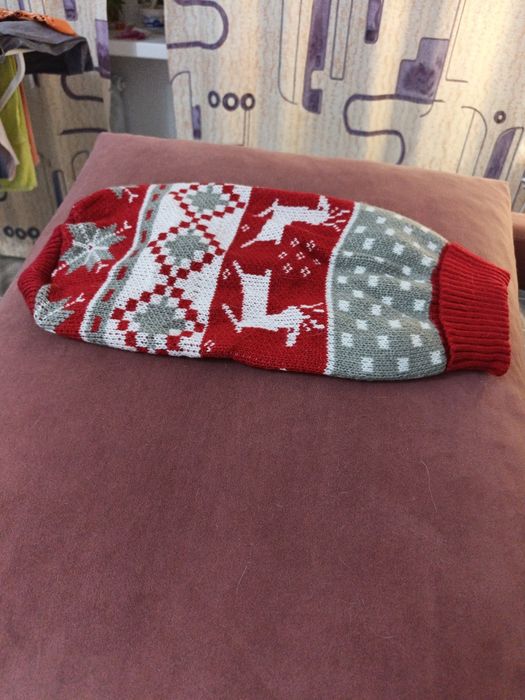 Отдам комбинезон для собачки девочки.