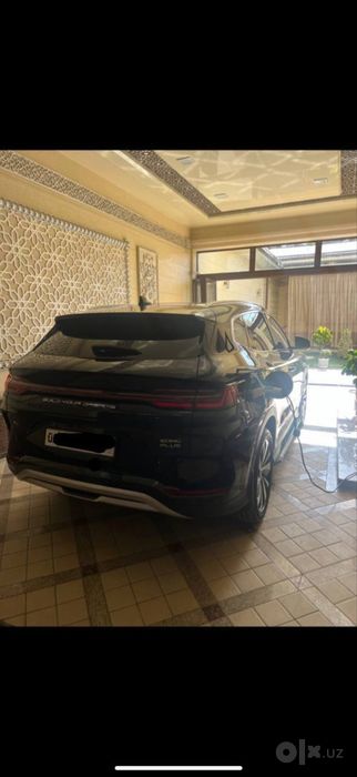 Byd chempion gibrit