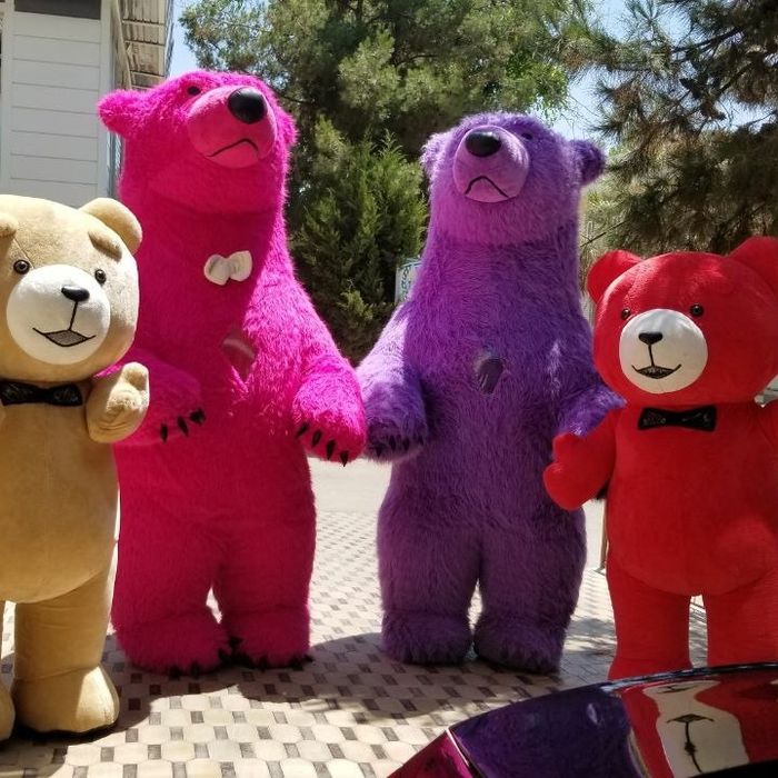 Айиклар сотилади янги биринчи ку́л