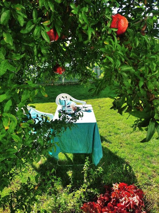 Къща в Гърция/Паралия Офринио