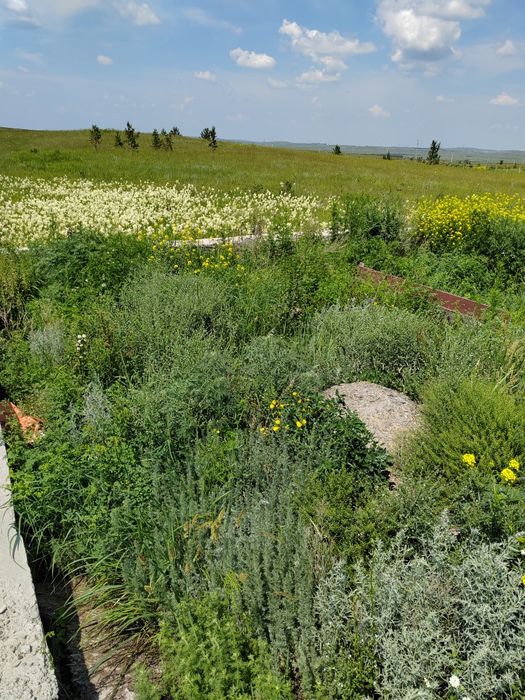Продам земельный участок