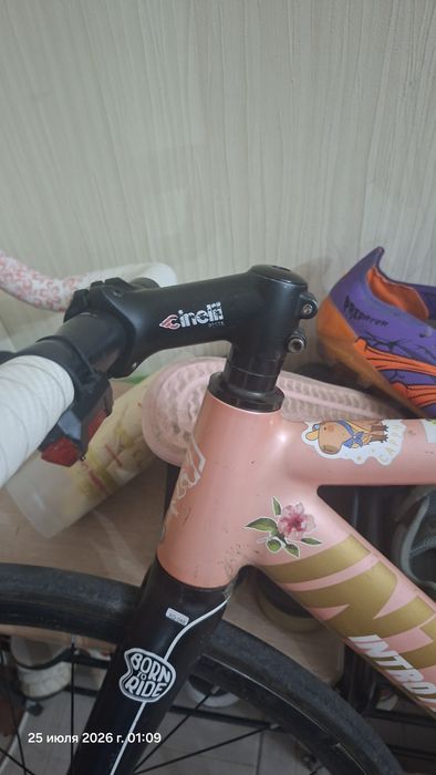Вынос cinelli pista