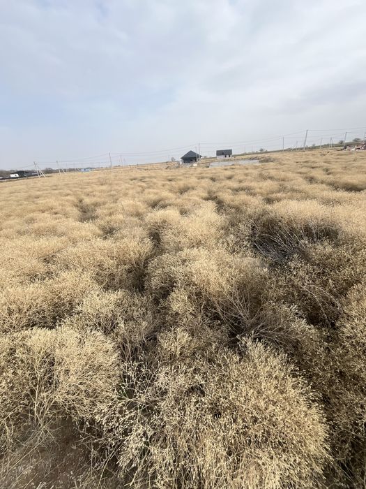 Земельный уччасток кайназар 8соток