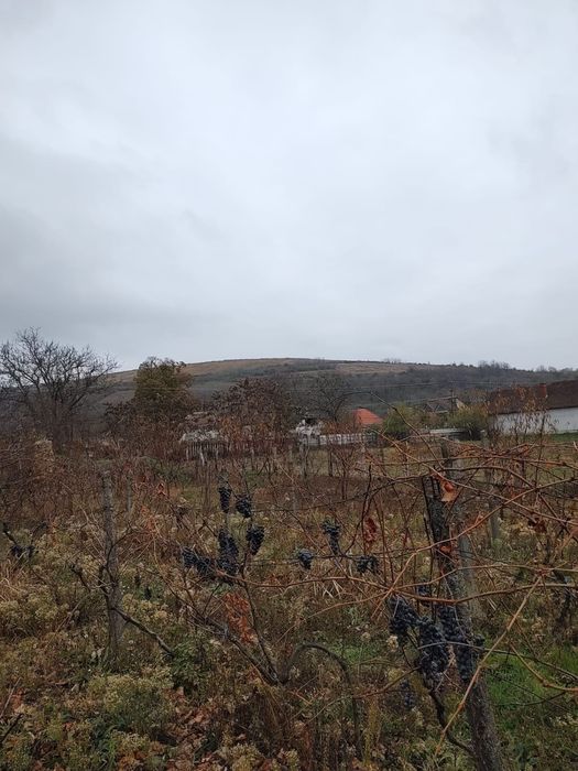 Casă Păuliș jud. Arad