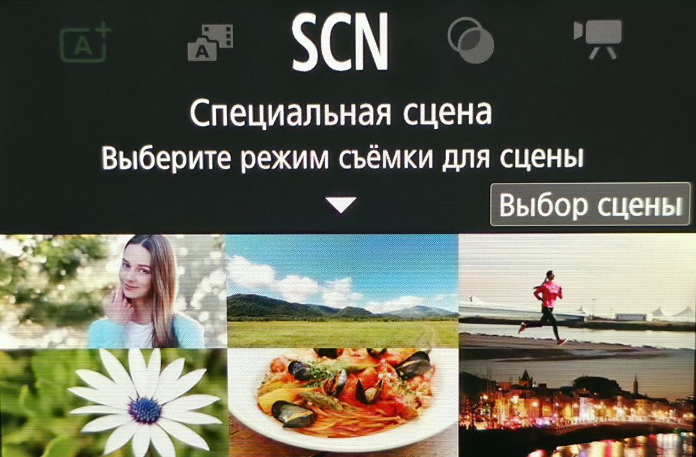 Canon eos m50 mark 2