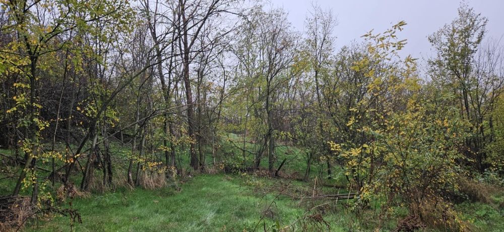 Продава се Къща в с. Пресяка, Област Ловеч - 60 кв.м за 170 €/кв.м - Снимка #6