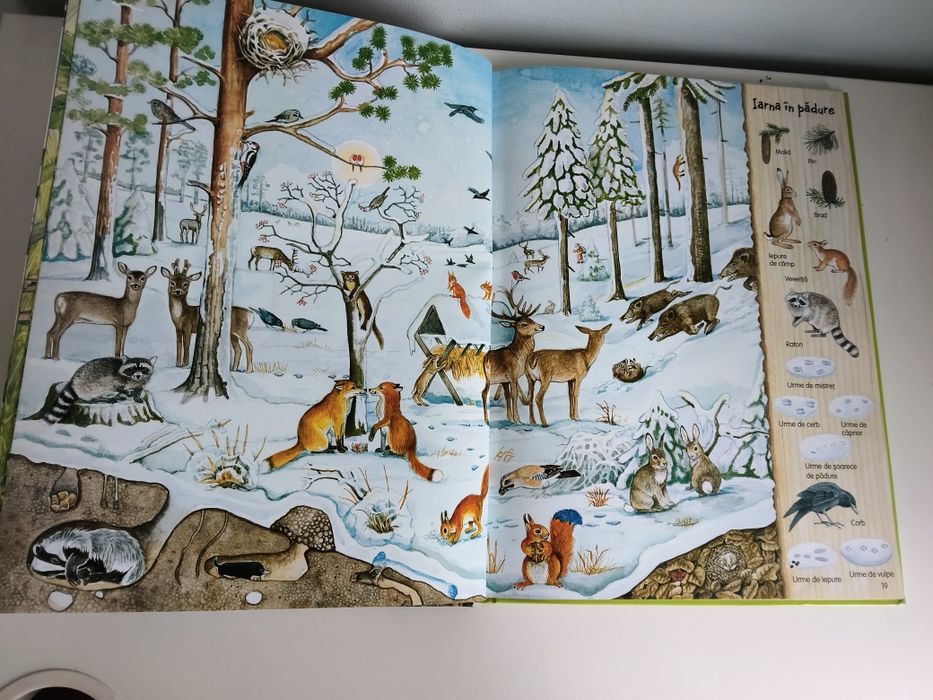 Enciclopedie copii Marea carte a naturii