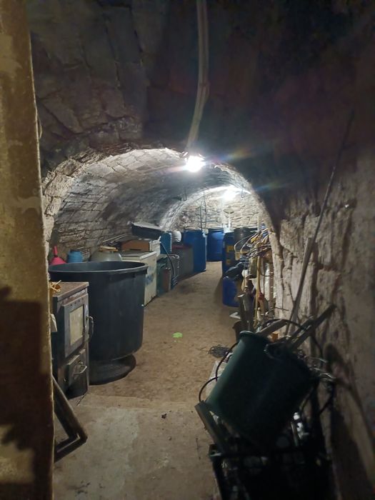 Casa 185 m2(BECI 33 MP / GARAJ) / Spatiu com. ,sat Hilita / Costuleni