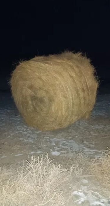 Рулон    сено ...