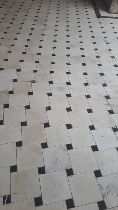 Бурчатка терамиз