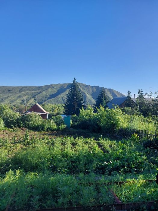 Продается дача в с/о Зеленый лог