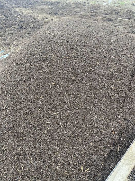 Biyagomes Optim Narhlarda