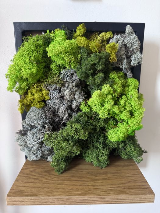 Decorațiuni handmade cu mușchi natural stabilizat