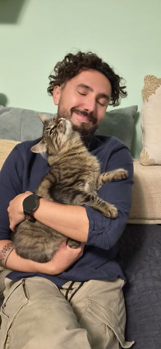 Pet sitter Timisoara