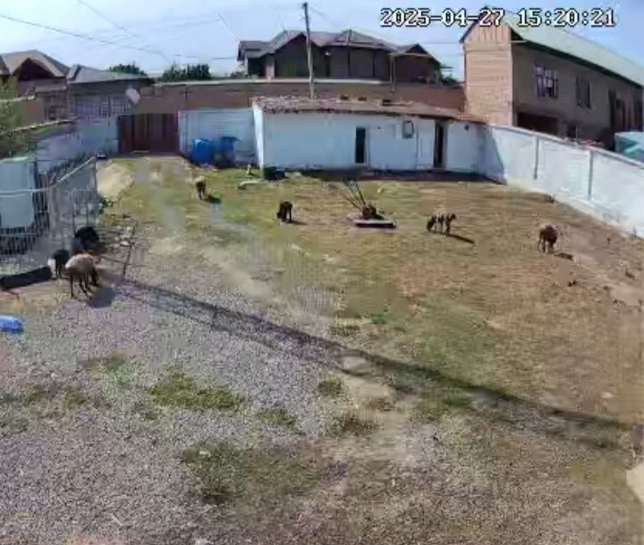 Sotiladi yoki arendaga beriladi(ozizga qoladigan) . Zangata m39 da