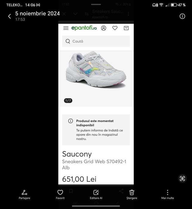 Adidasi saucony grid web