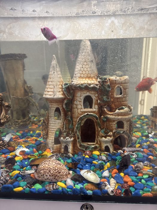 Аквариум 60000 тг