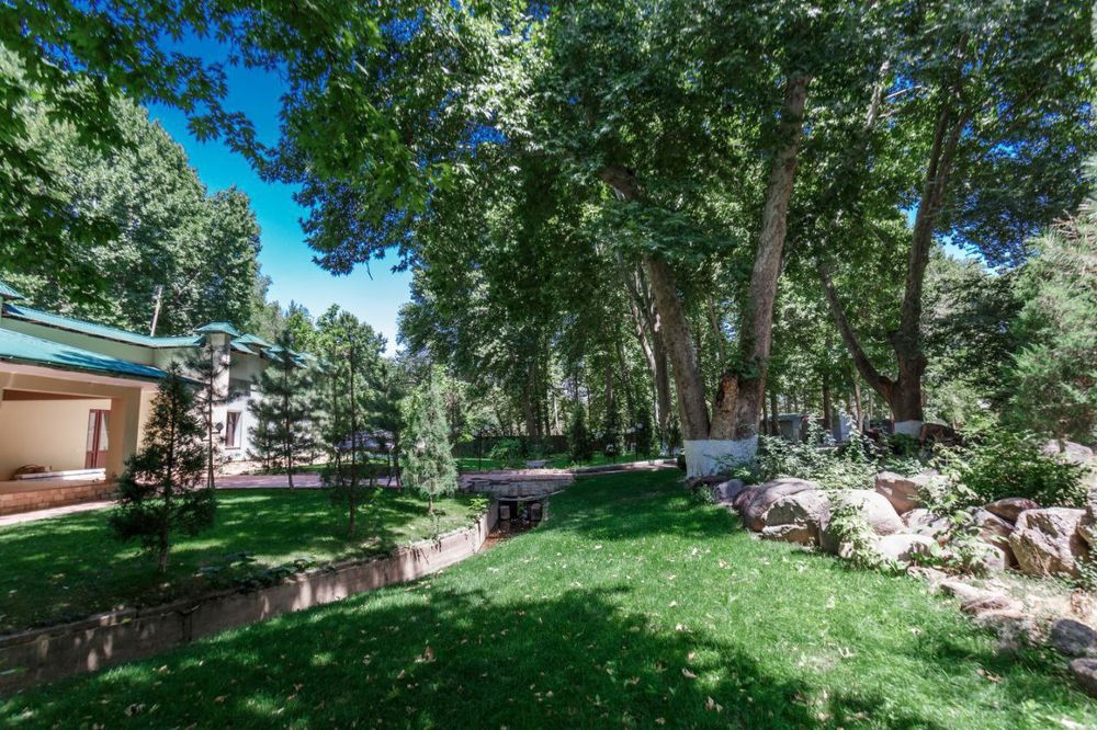 Чирчик. Участок. Роща Чинар 95-Соток  под любой вид деятельности.