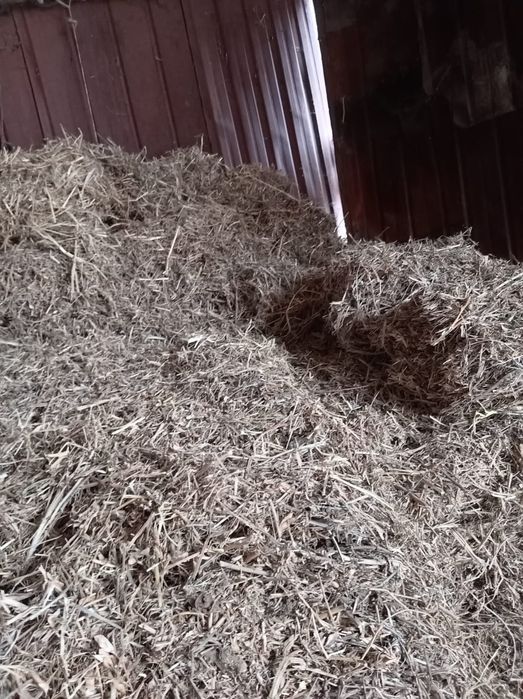 Соевая солома россыпью