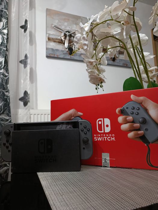 Nintendo switch se