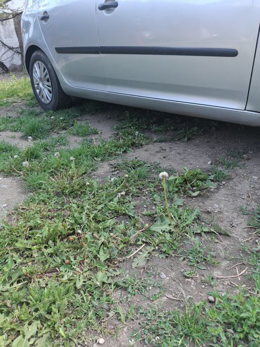 Golf 5 -1,4 .Anul-2003