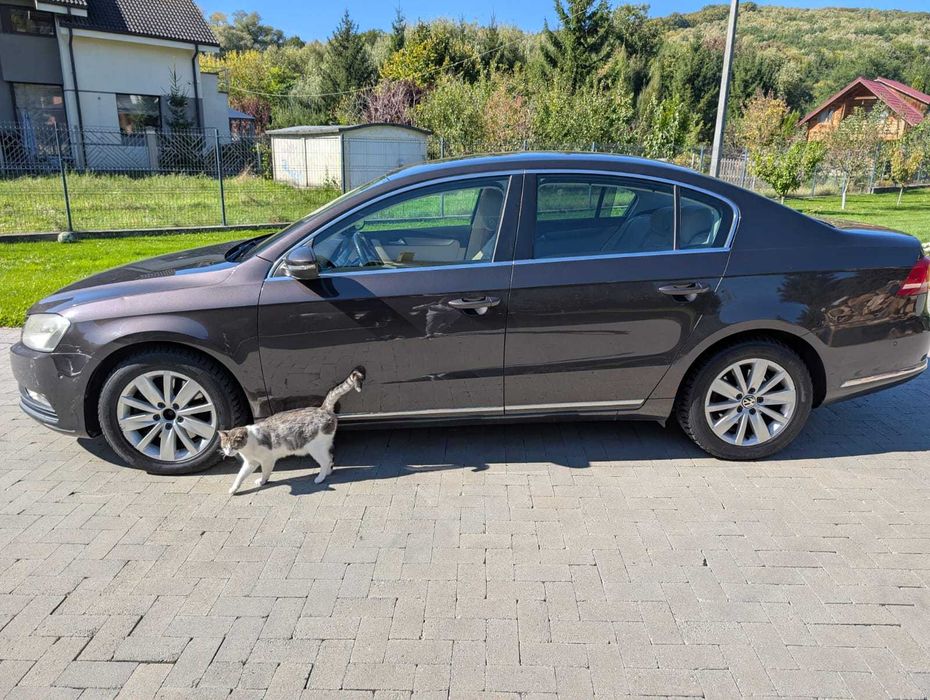 VOLKSWAGEN Passat 2011 — imagine 2