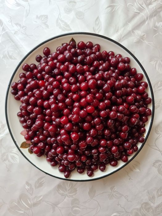 Продам дачный участок(дачу)!