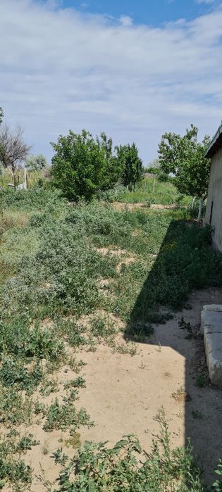 Продам дом с большим участком
