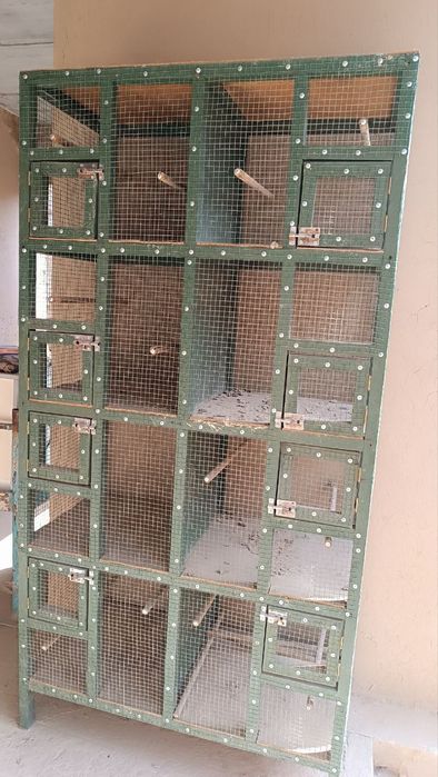 Срочно сотилади Куш куён  ини 8та хонали