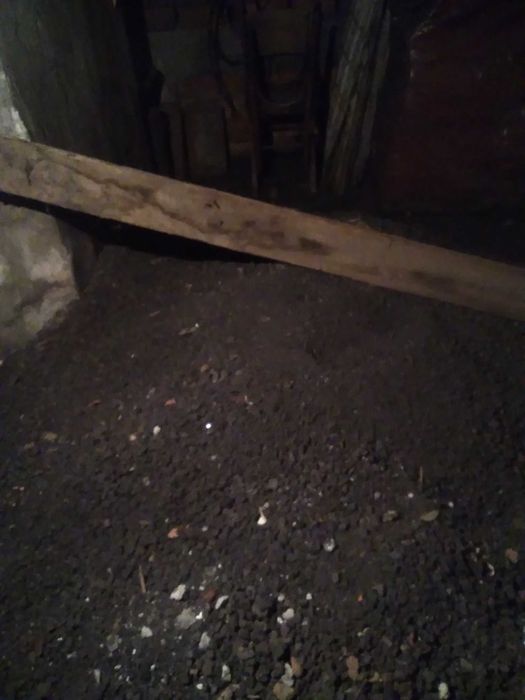 Подарявам сгурия