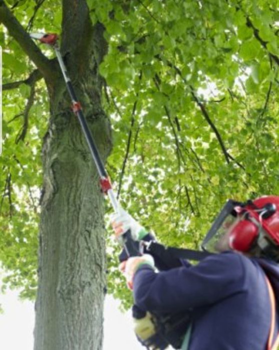 Спил деревьев обрезка ПРОФИ