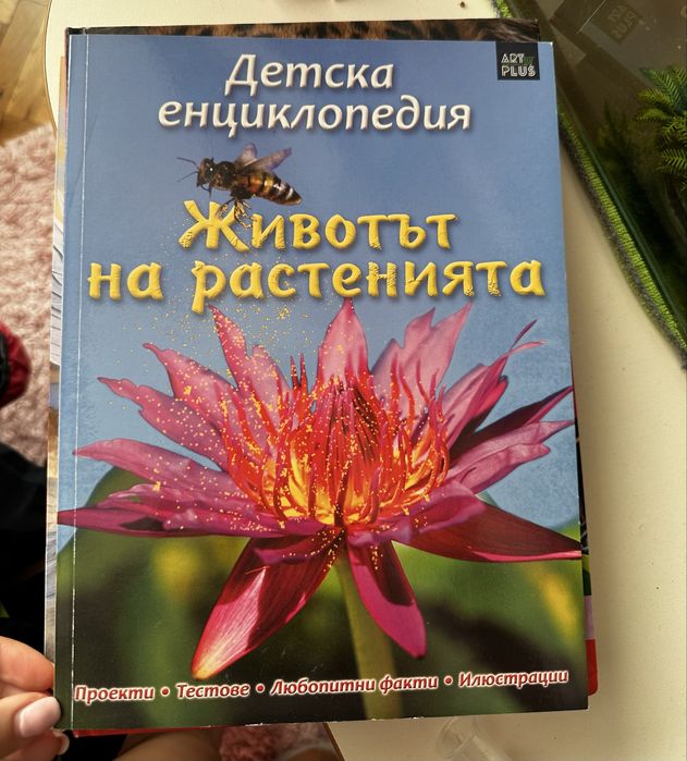 Детски енциклопедии