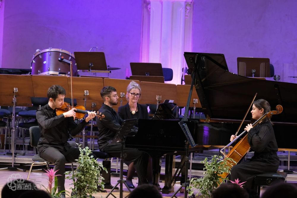 Lecții de vioară/muzică în Cluj/Florești