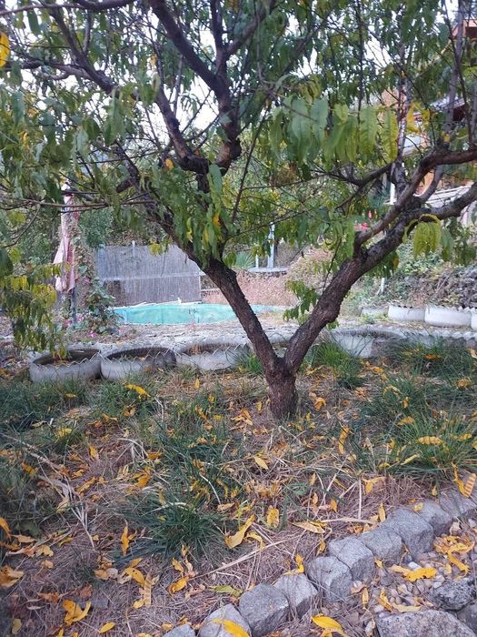 Продава се Къща в Шумен, м-т Чашка - 524 кв.м за 137 €/кв.м - Снимка #6