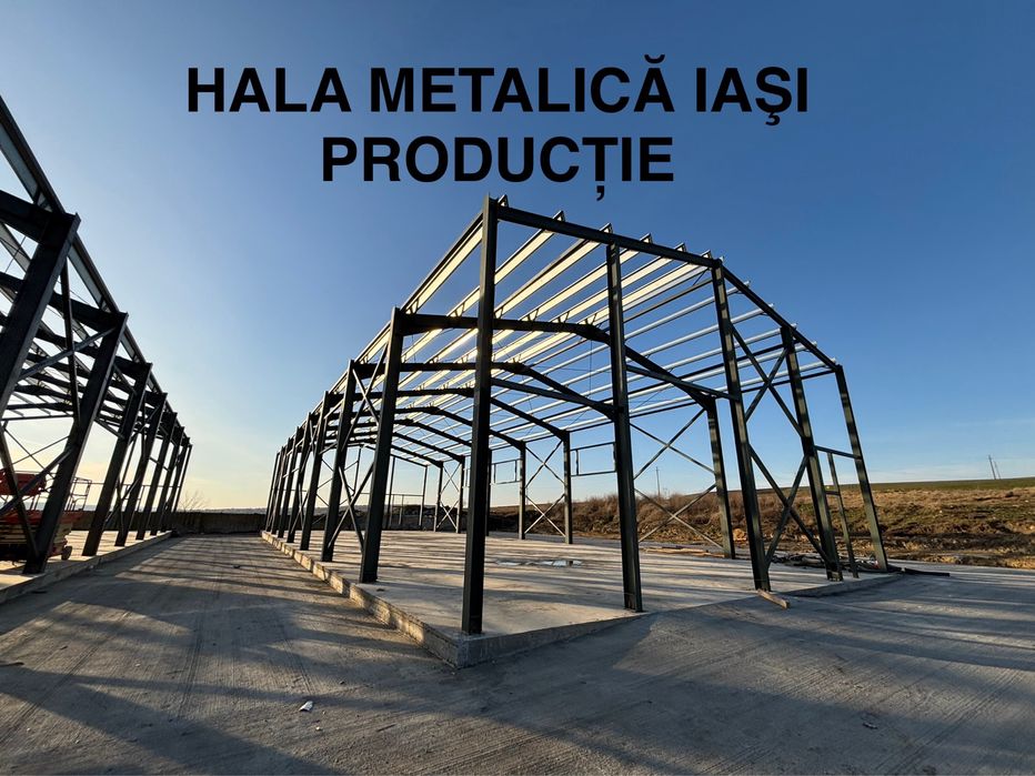STRUCTURA METALICA din profile IPE HEA conform proiectul dvs