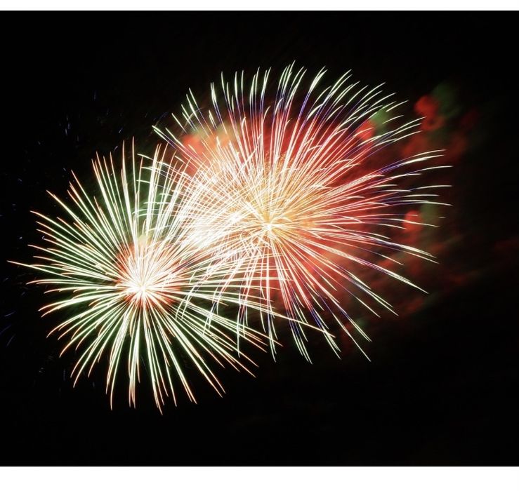 Artifi REVELION 2026