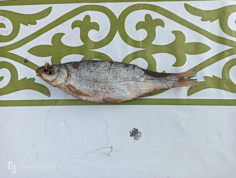 Сушеная рыба. Рыбец