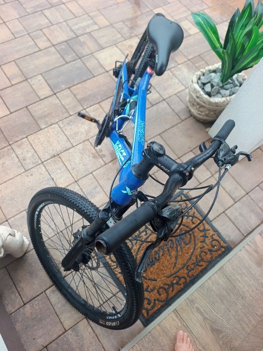 Bicicleta X - Fact