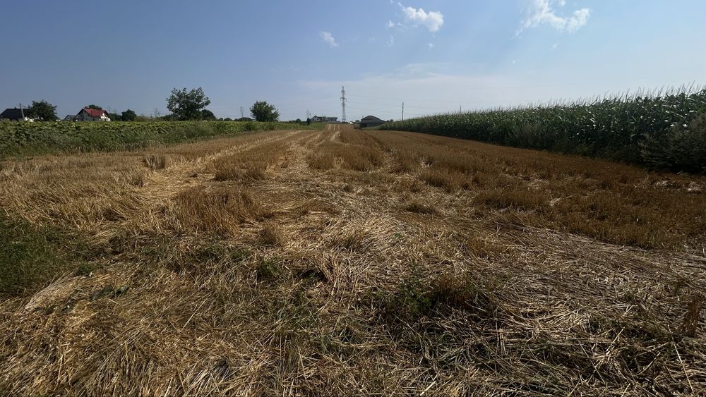 Teren parcelat in Ipotesti 4 parcele